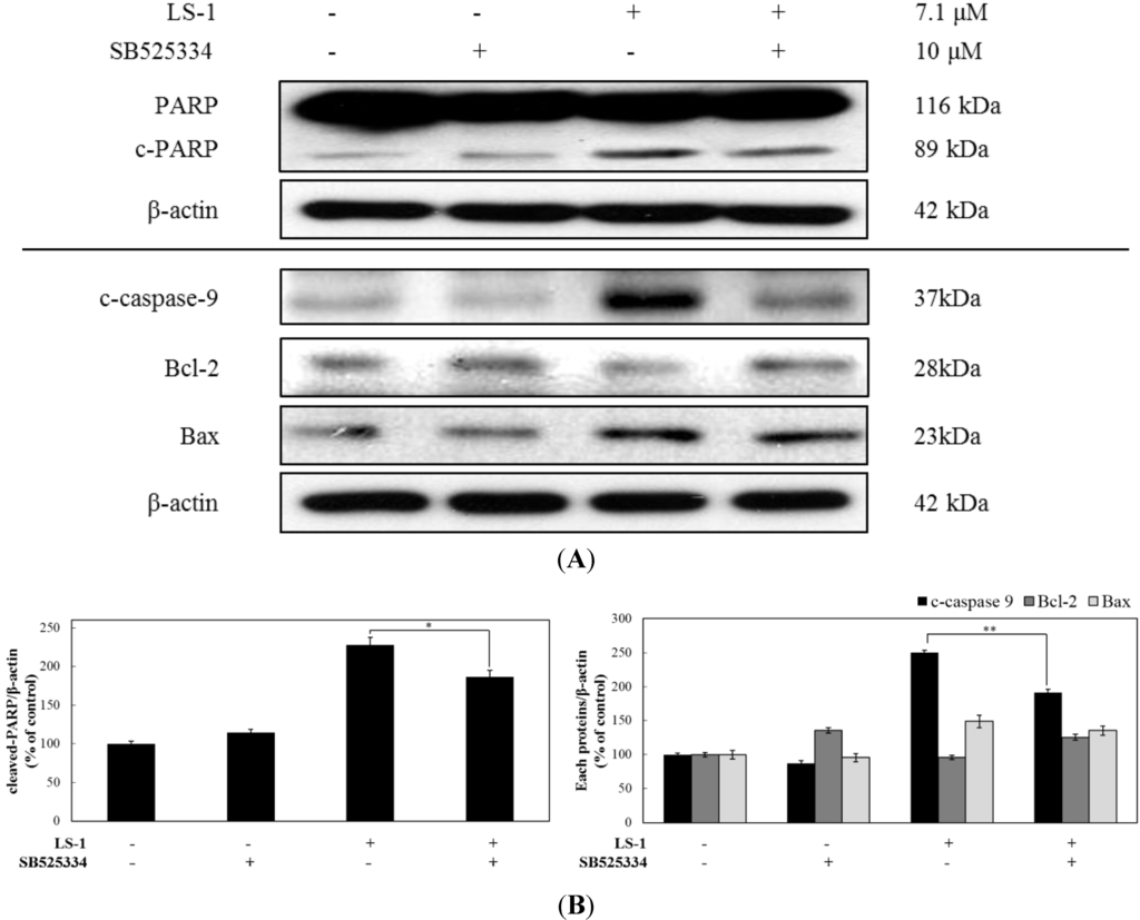 Marinedrugs 13 01340 g008 1024