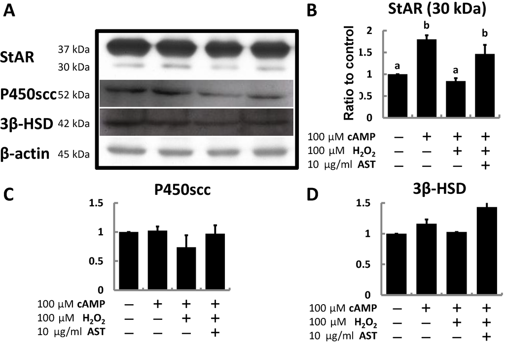Marinedrugs 13 01375 g005 1024