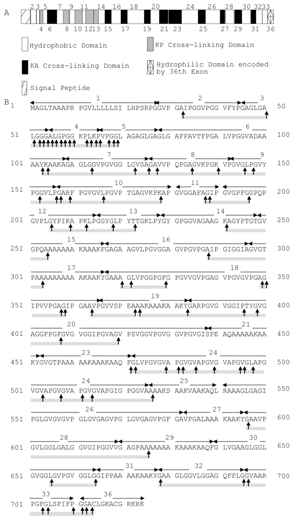 Marinedrugs 13 01481 g006 1024