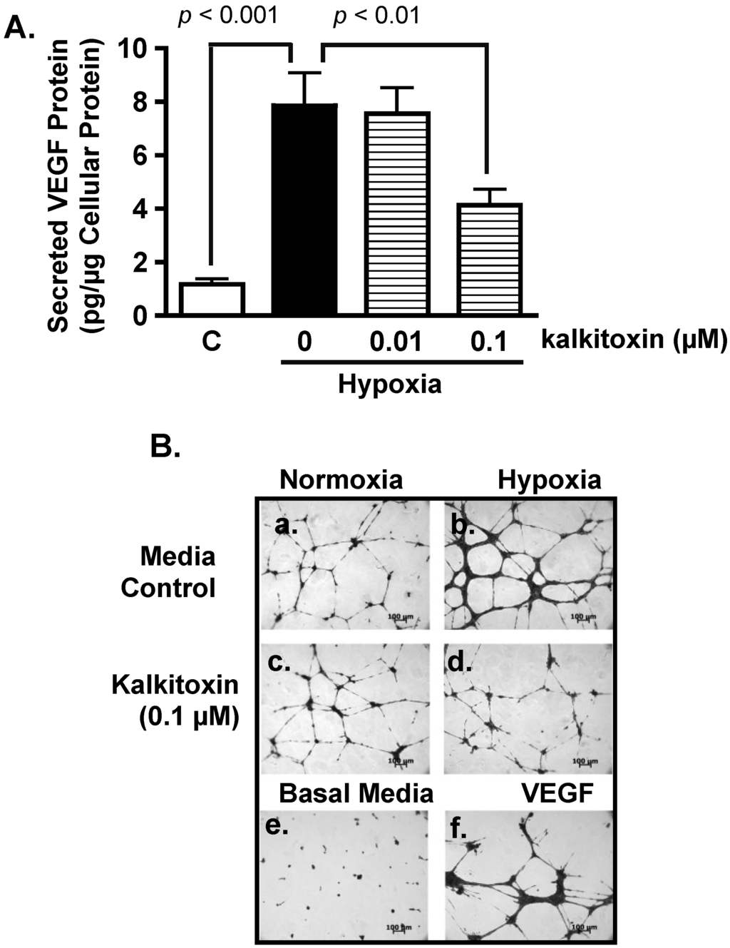 Marinedrugs 13 01552 g003a 1024