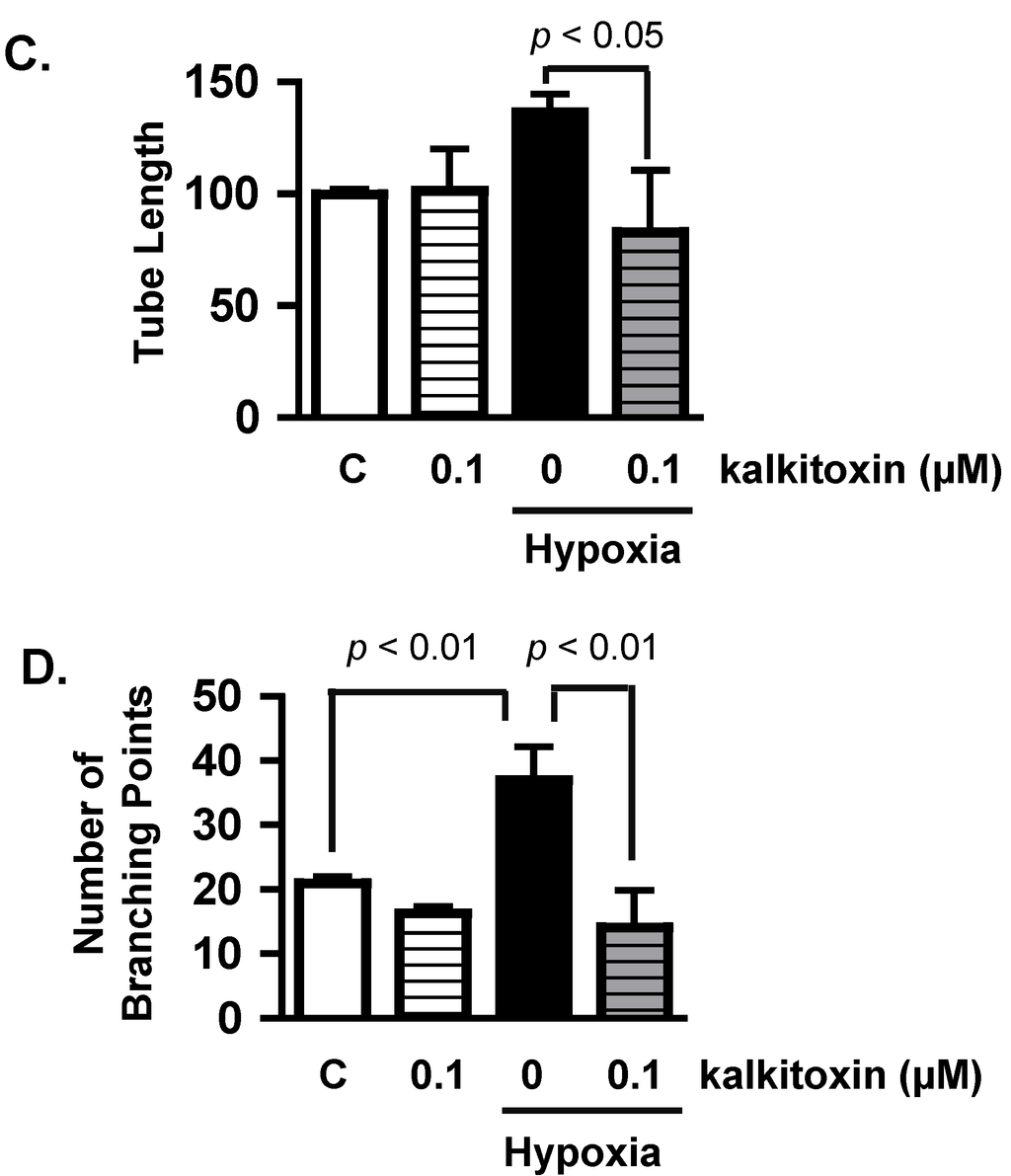 Marinedrugs 13 01552 g003b 1024
