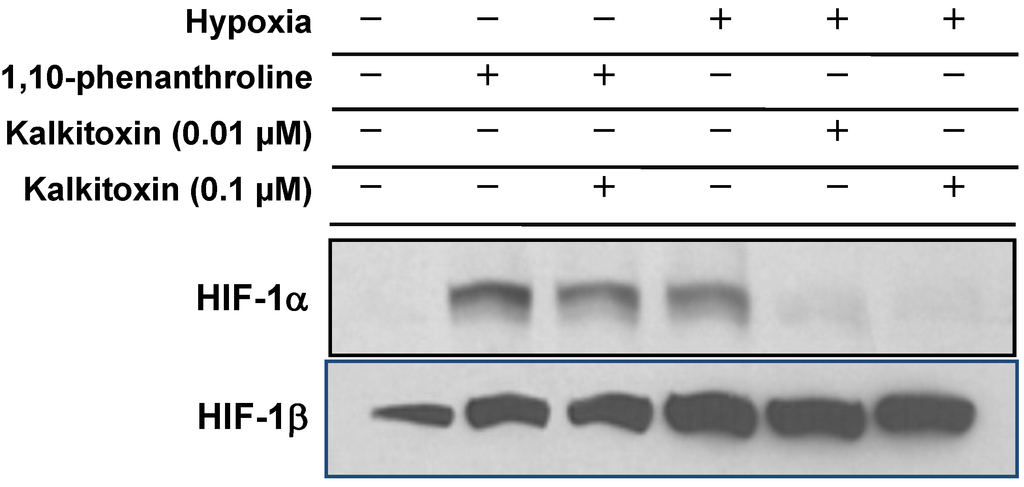 Marinedrugs 13 01552 g004 1024