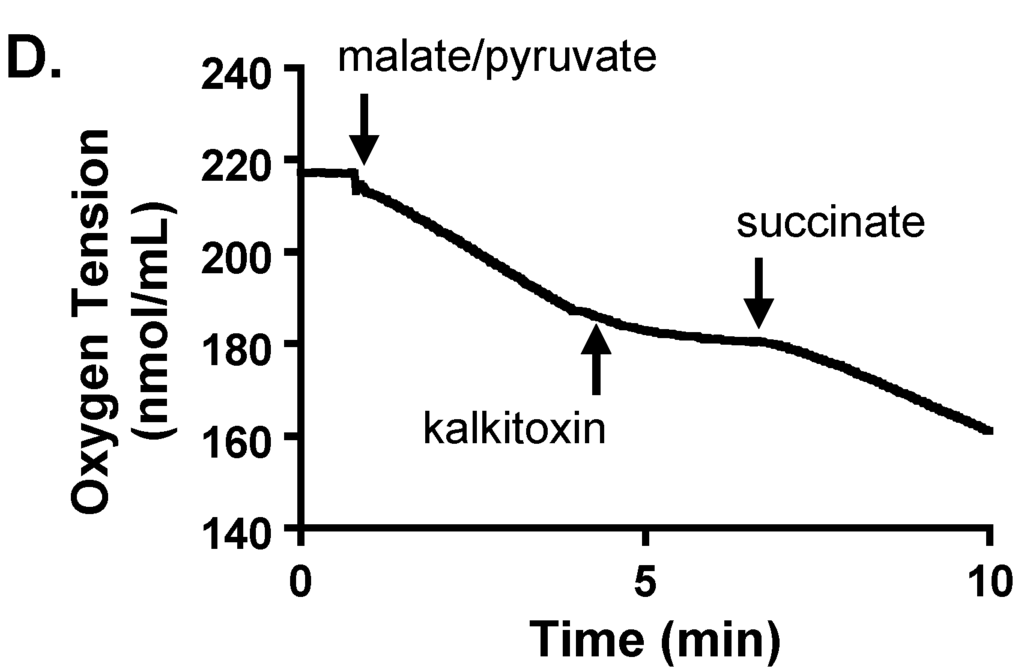 Marinedrugs 13 01552 g005b 1024