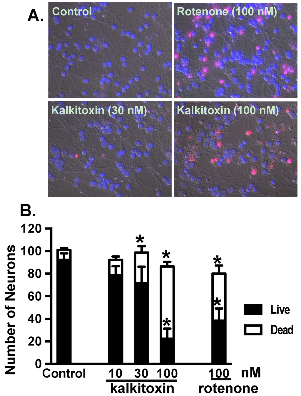 Marinedrugs 13 01552 g007 1024