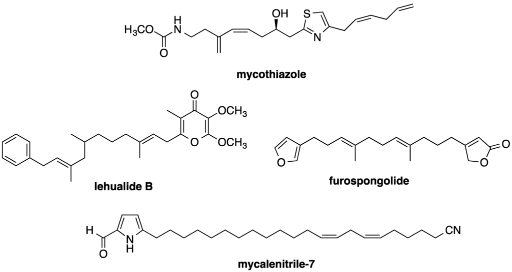 Marinedrugs 13 01552 g008 1024