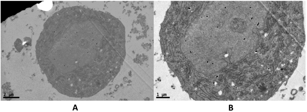 Marinedrugs 13 01569 g002 1024