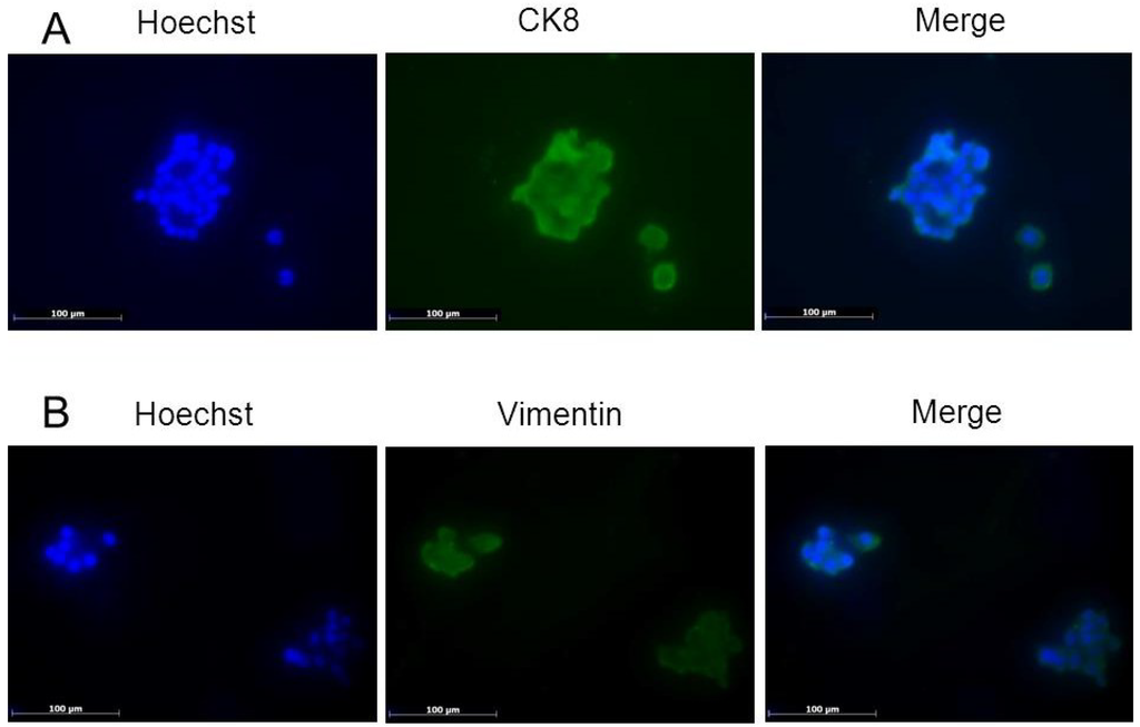 Marinedrugs 13 01569 g003 1024