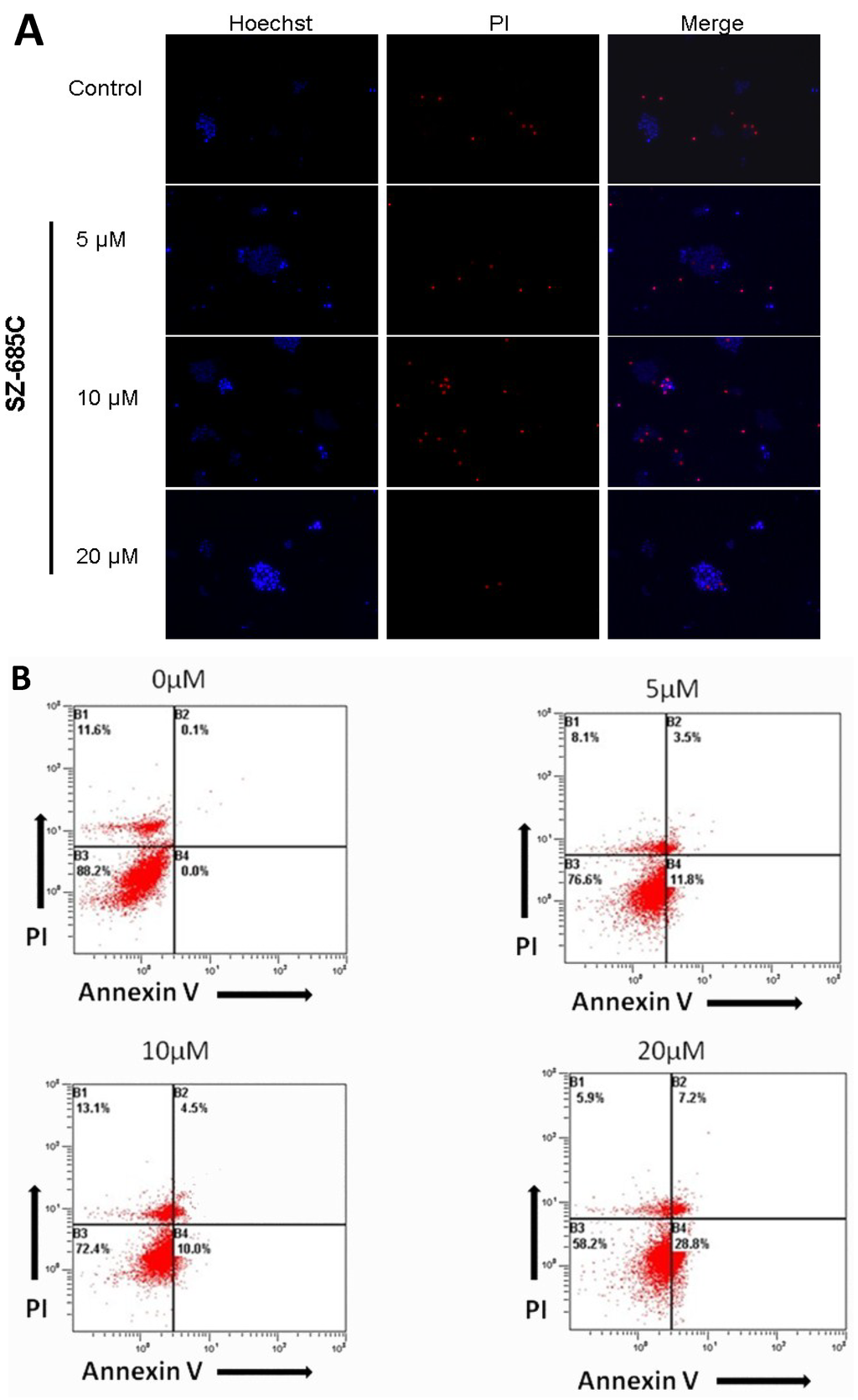 Marinedrugs 13 01569 g005a 1024