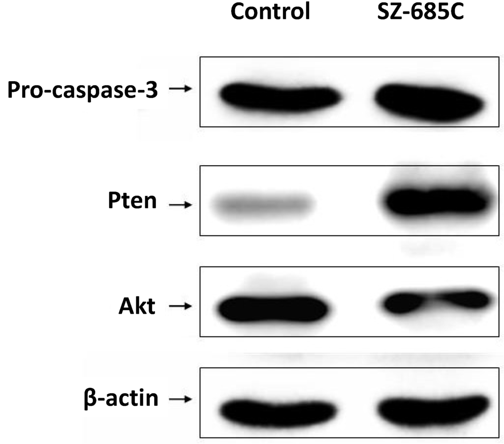 Marinedrugs 13 01569 g006 1024