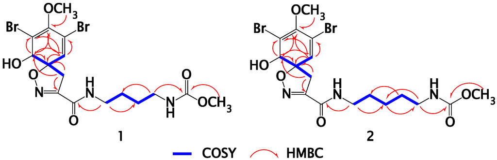 Marinedrugs 13 01621 g002 1024