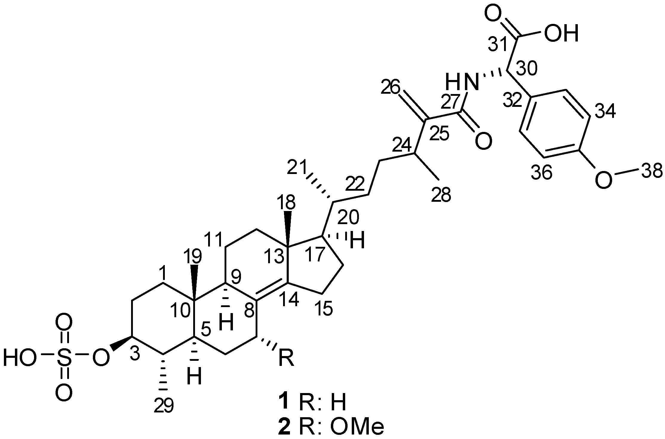 Marinedrugs 13 01632 g001