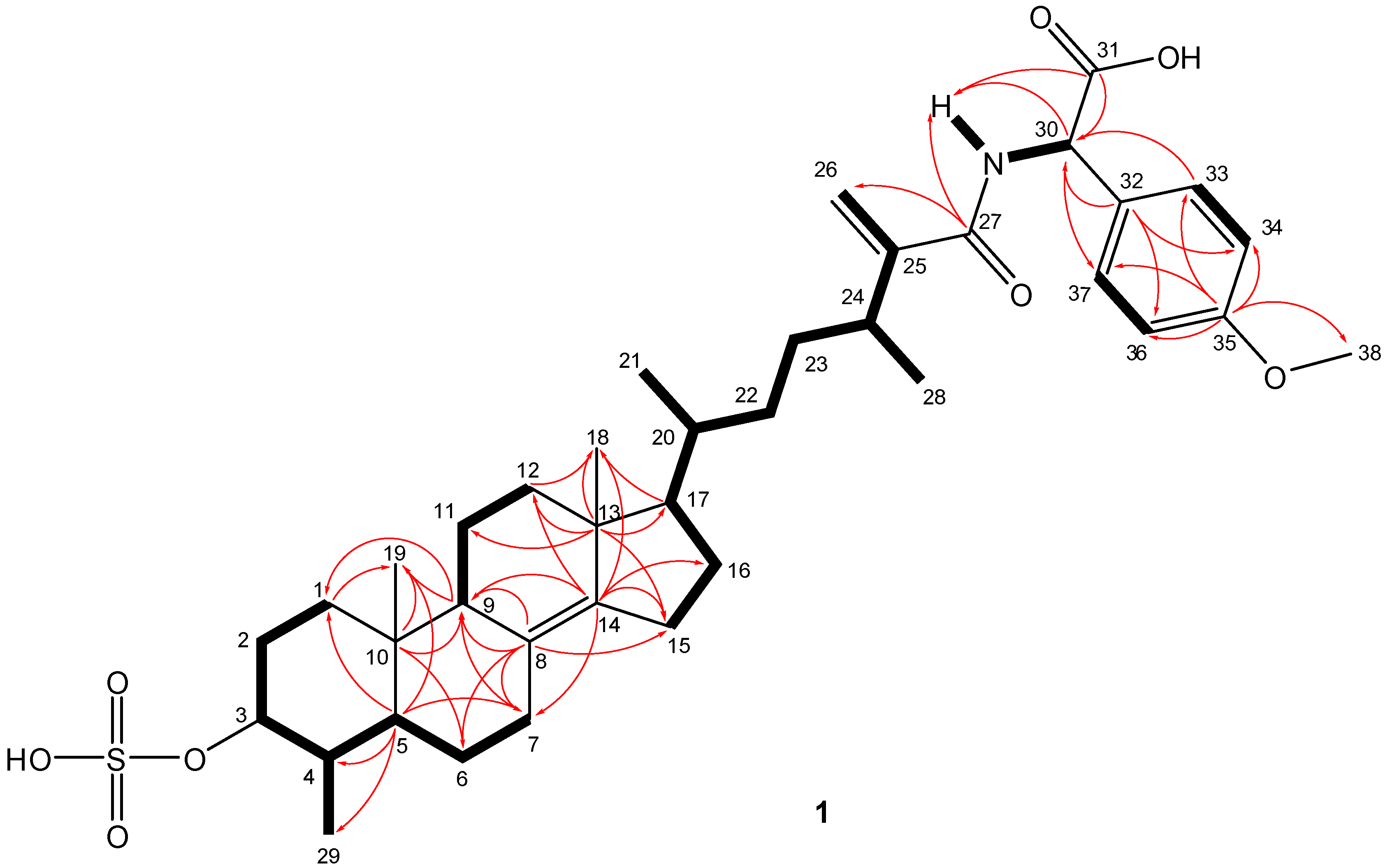 Marinedrugs 13 01632 g002