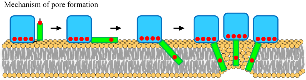 Marinedrugs 13 01647 g005 1024