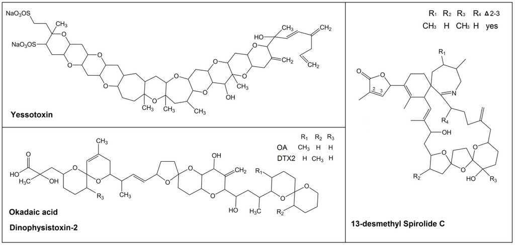 Marinedrugs 13 01666 g001 1024