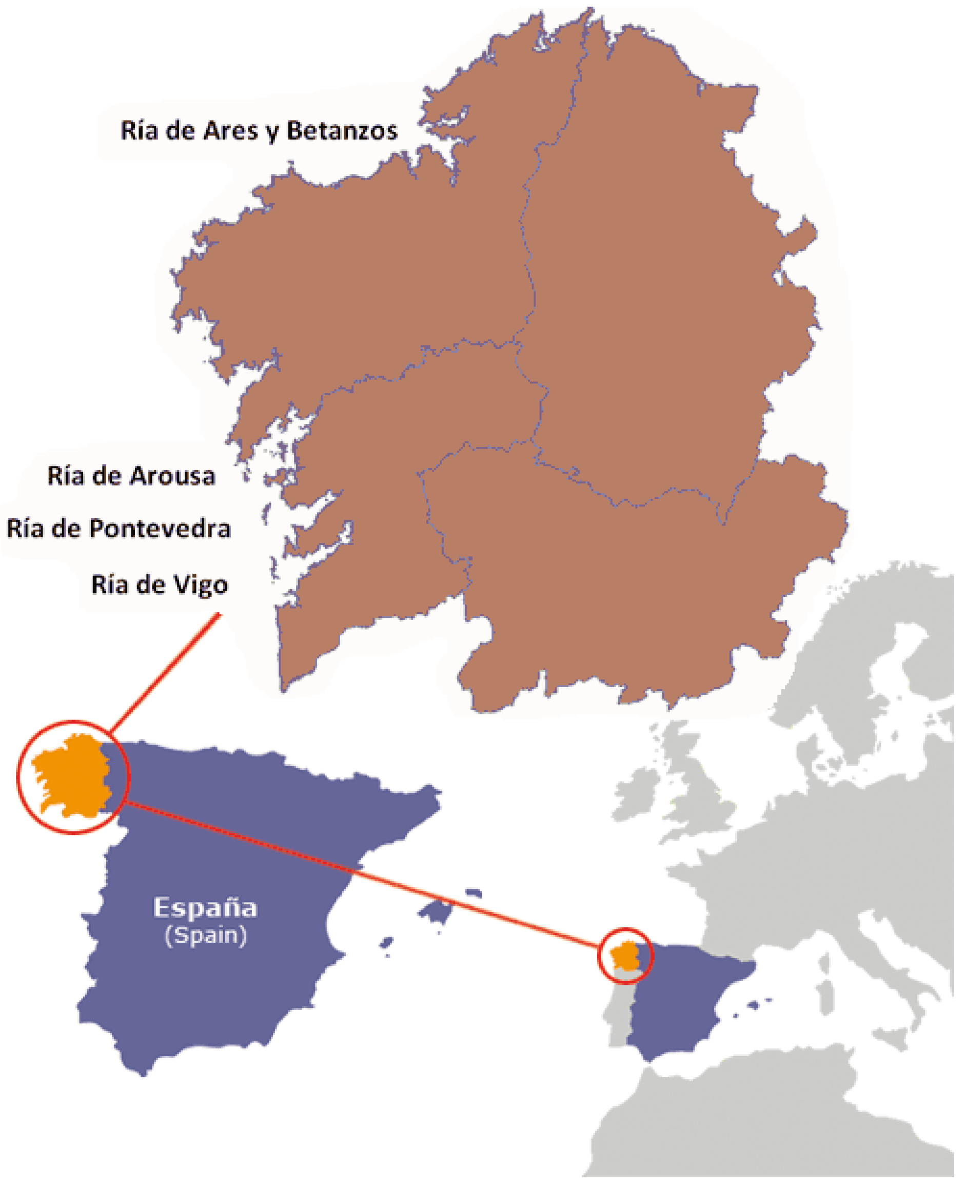 Marinedrugs 13 01666 g006