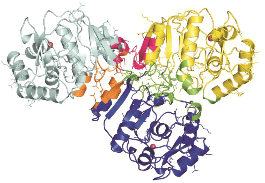 Marinedrugs 13 01688 g004 1024