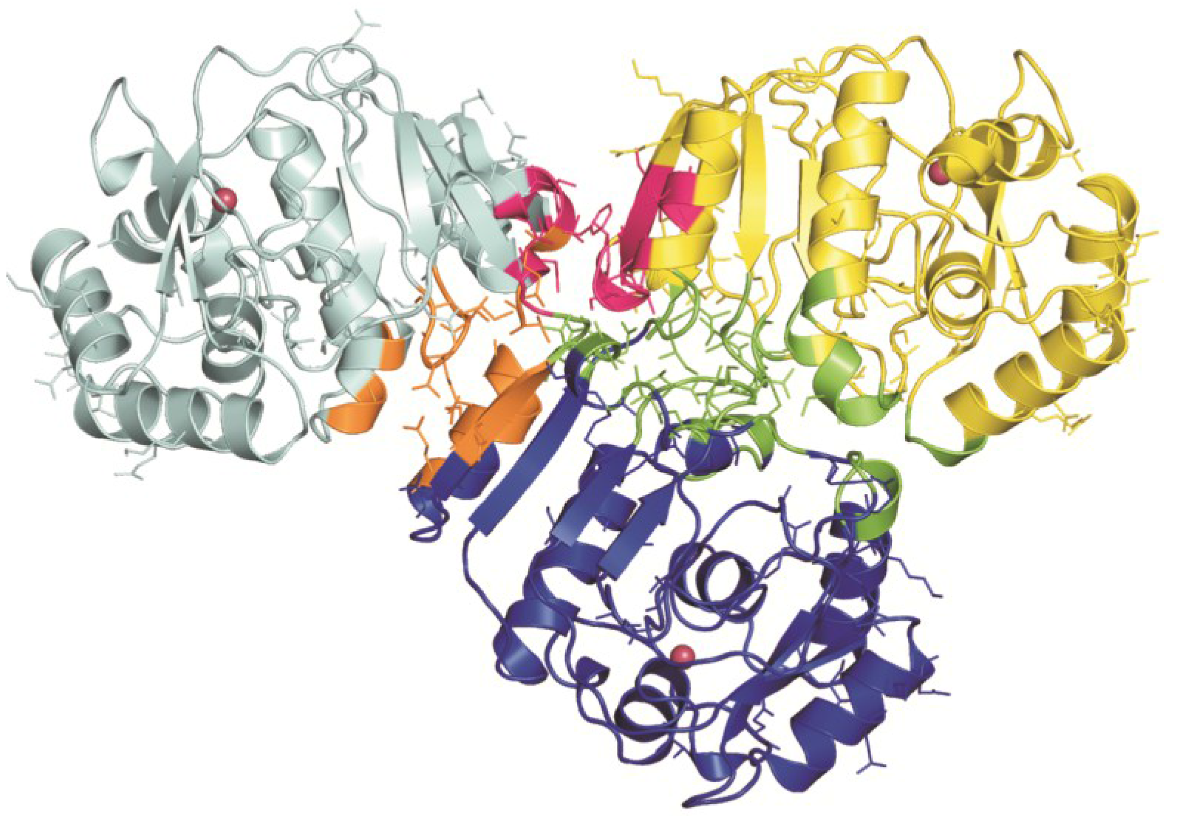 Marinedrugs 13 01688 g004