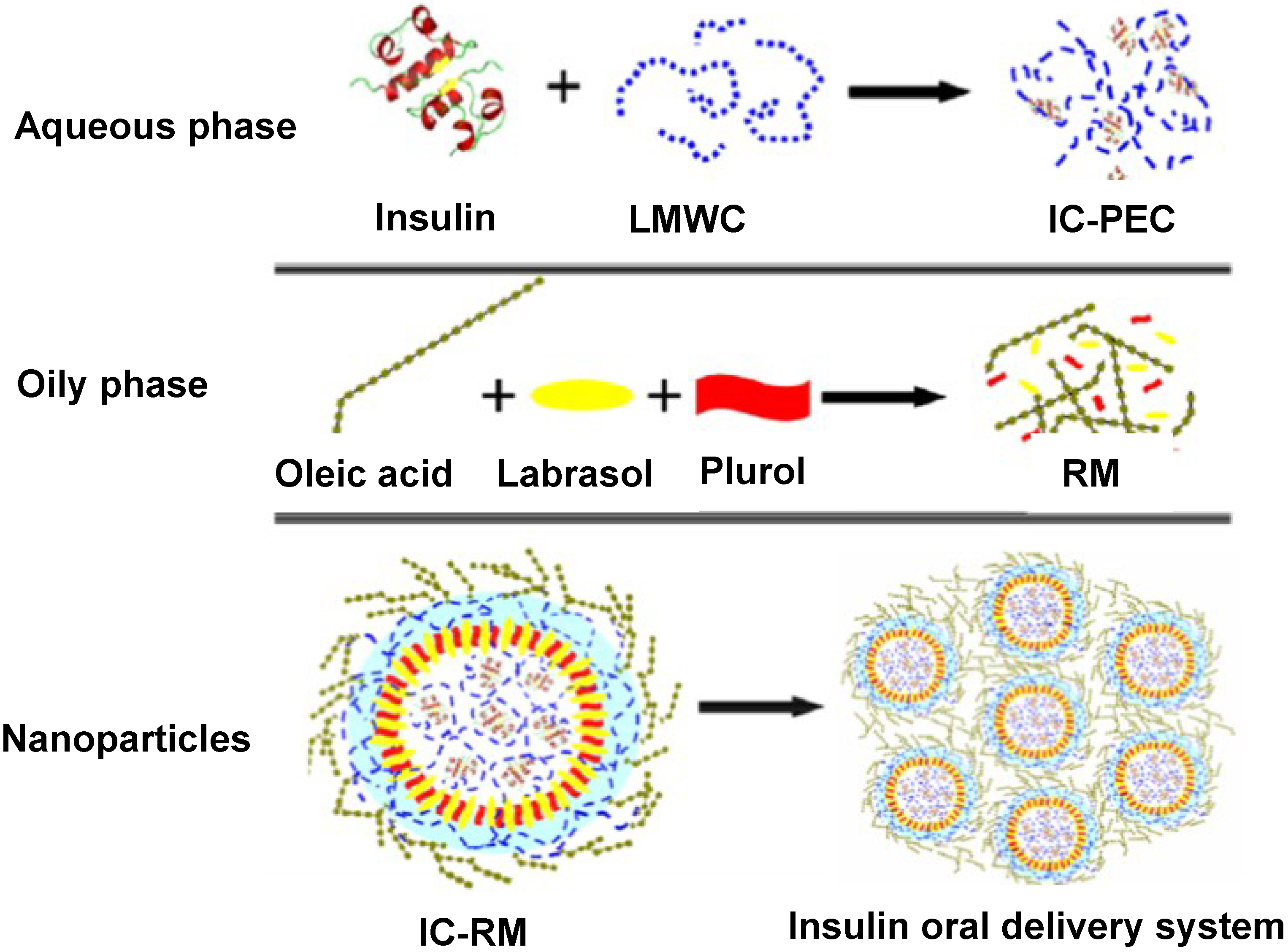Marinedrugs 13 01710 g005