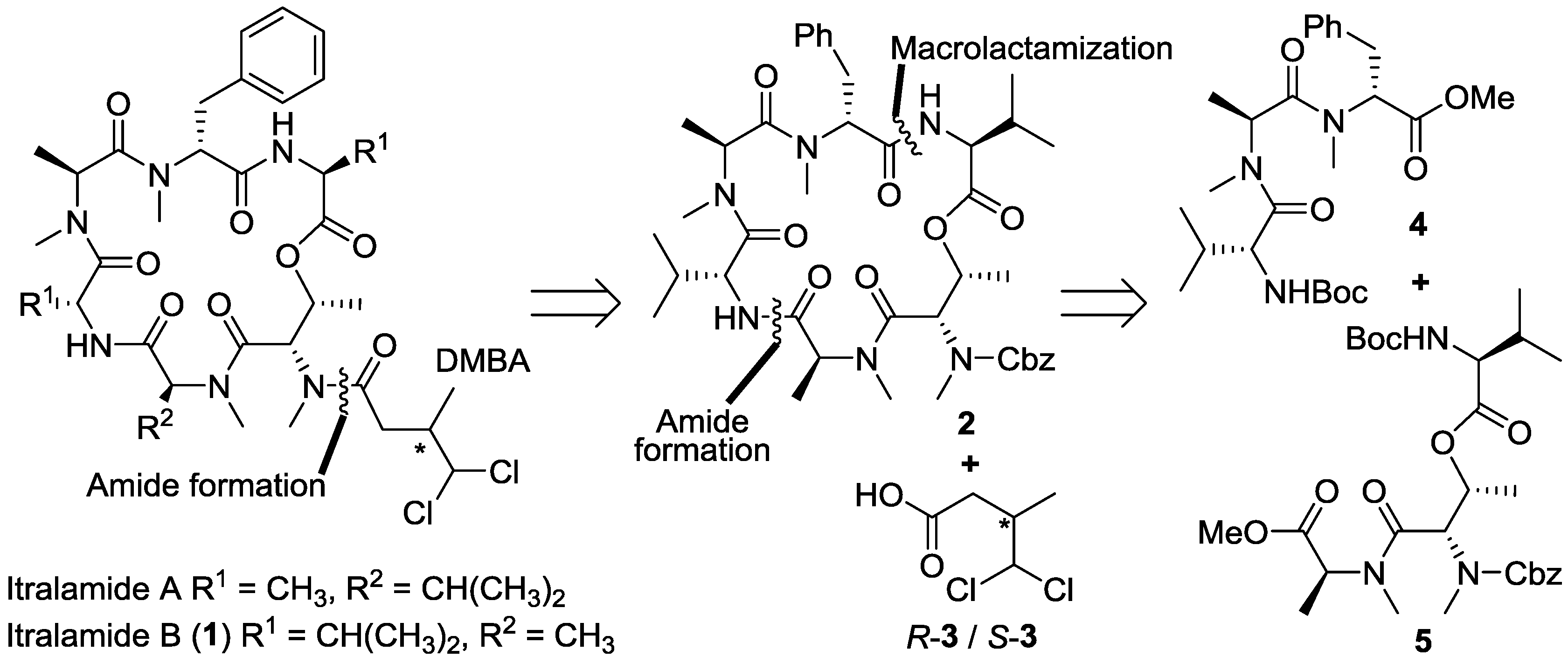 Marinedrugs 13 02085 g001