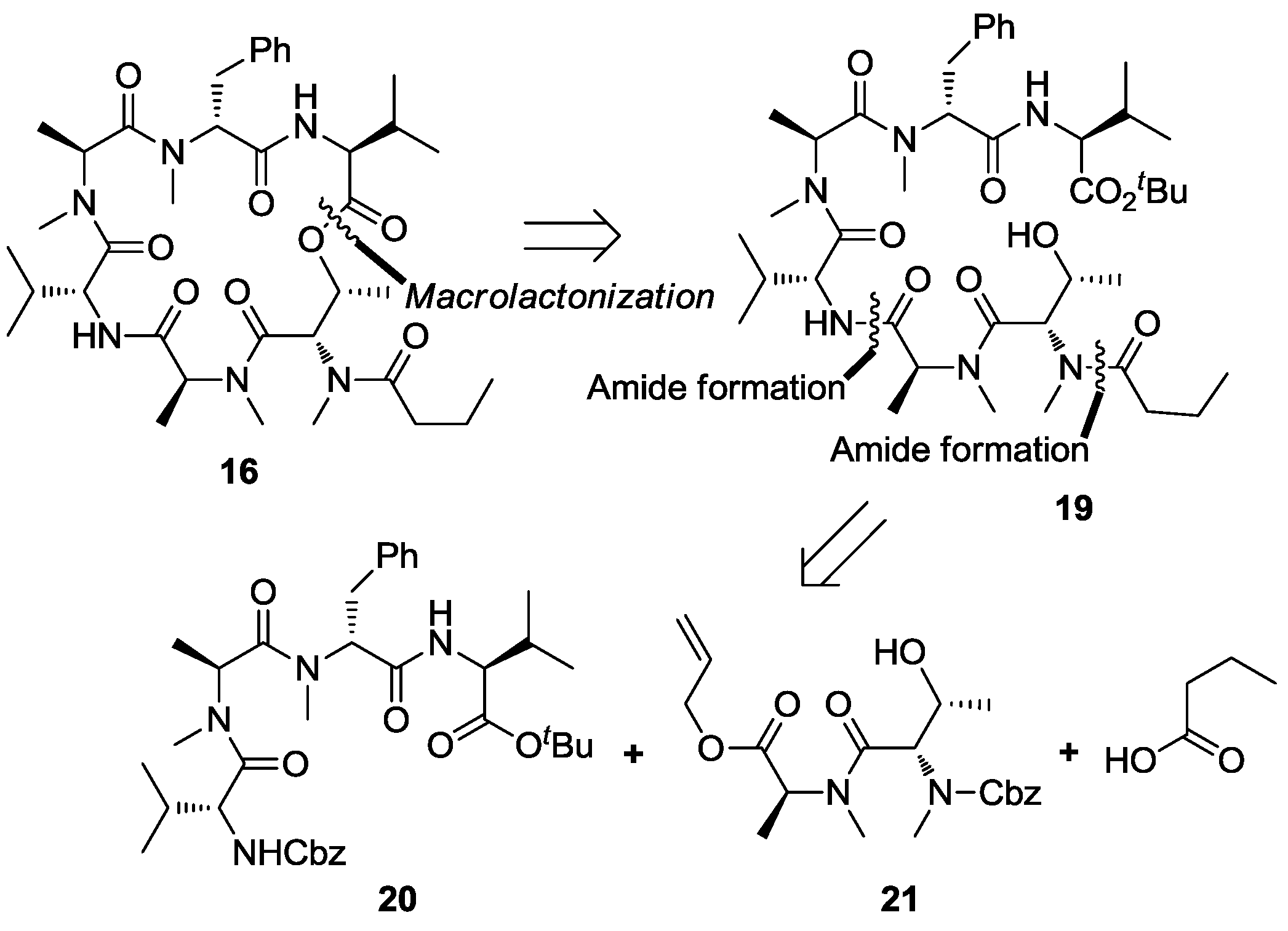 Marinedrugs 13 02085 g002