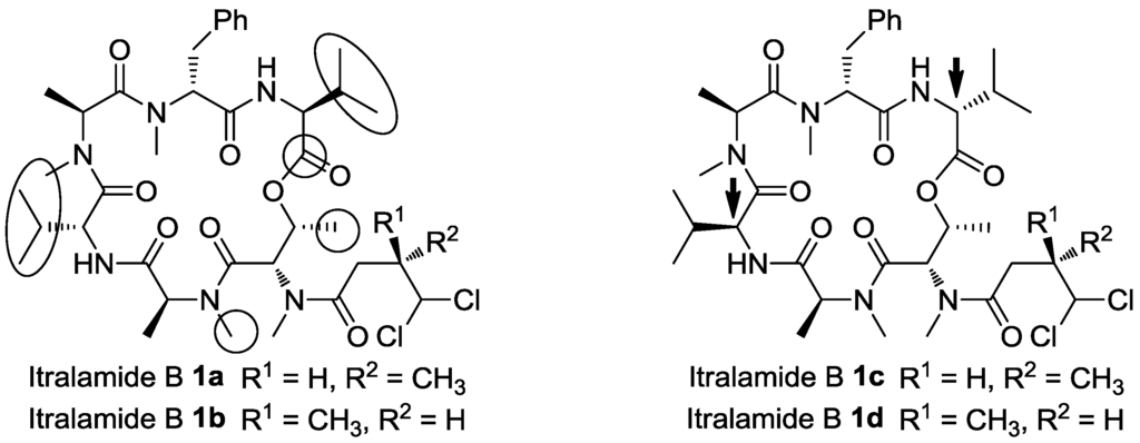 Marinedrugs 13 02085 g003 1024