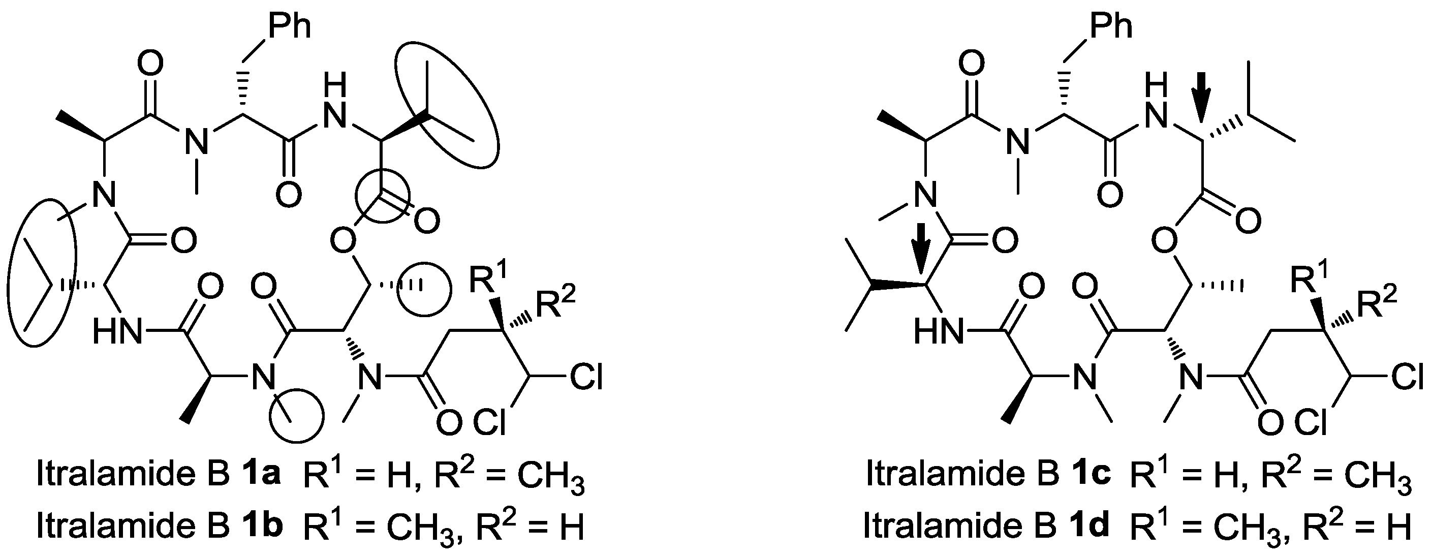 Marinedrugs 13 02085 g003