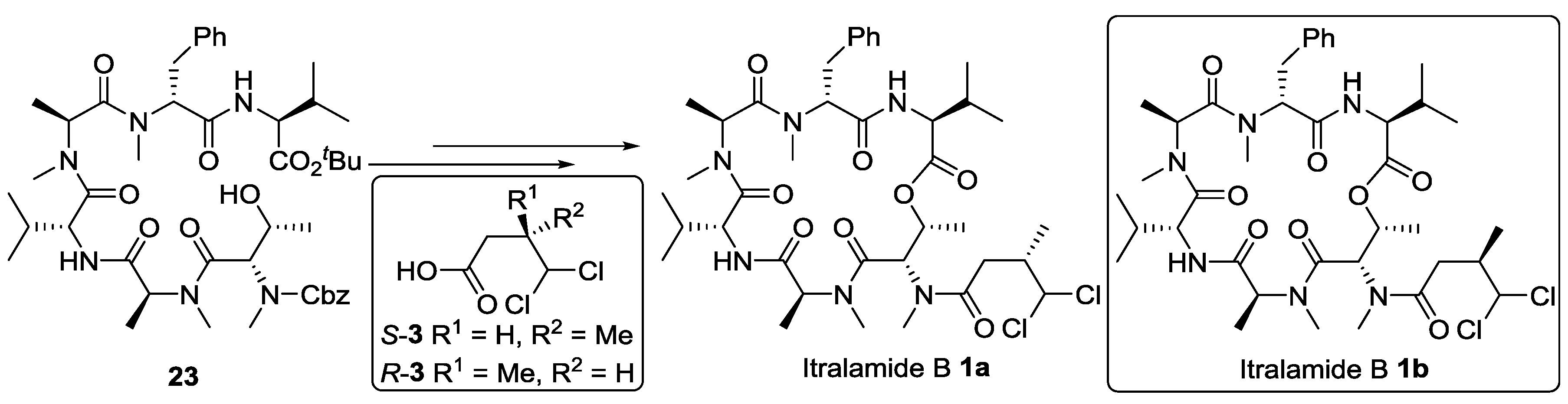 Marinedrugs 13 02085 g010