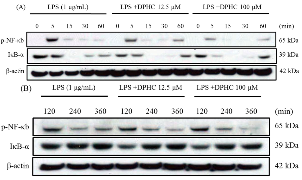 Marinedrugs 13 02141 g002a 1024