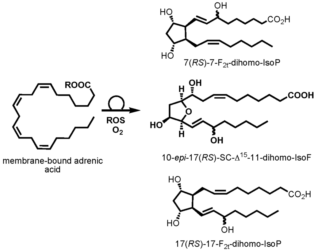 Marinedrugs 13 02215 g006 1024