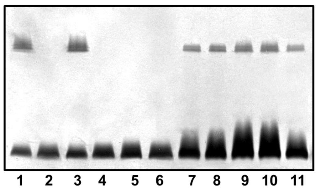 Marinedrugs 13 02233 g004 1024