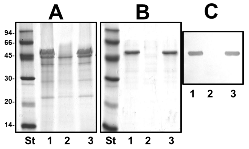 Marinedrugs 13 02233 g005 1024