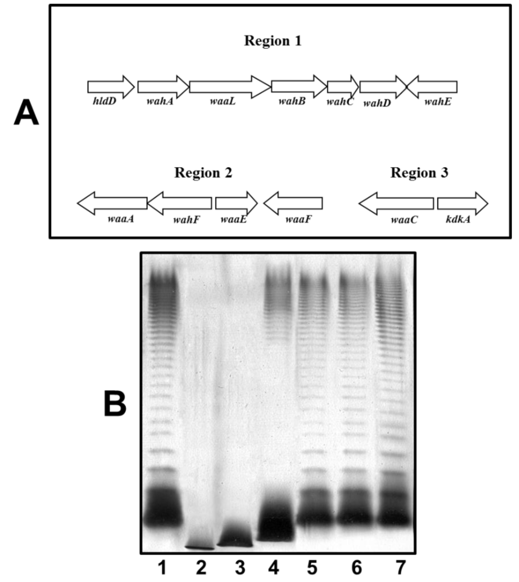 Marinedrugs 13 02233 g006 1024