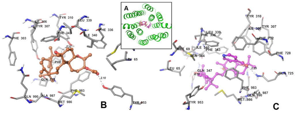 Marinedrugs 13 02267 g005 1024