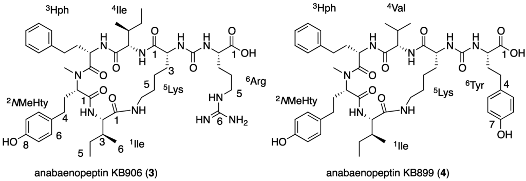 Marinedrugs 13 02347 g004 1024