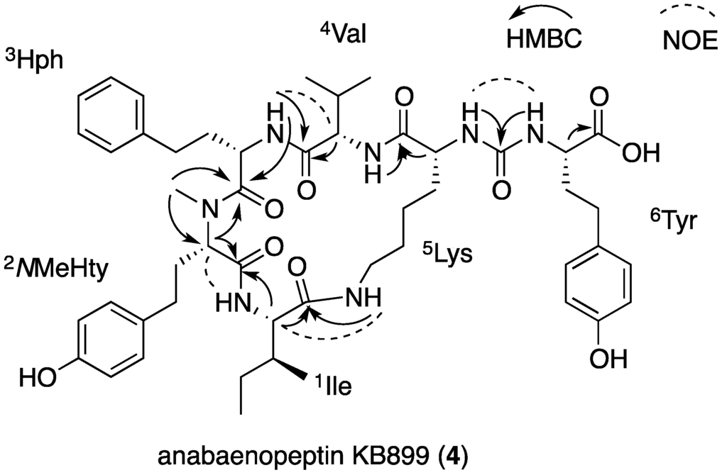 Marinedrugs 13 02347 g005 1024