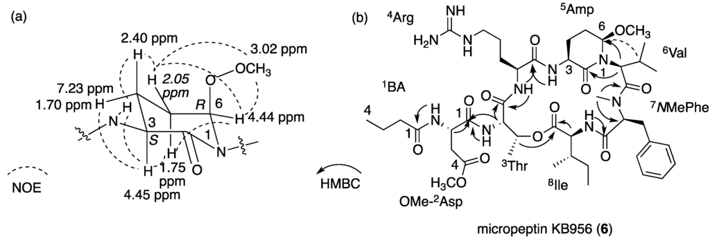 Marinedrugs 13 02347 g007 1024