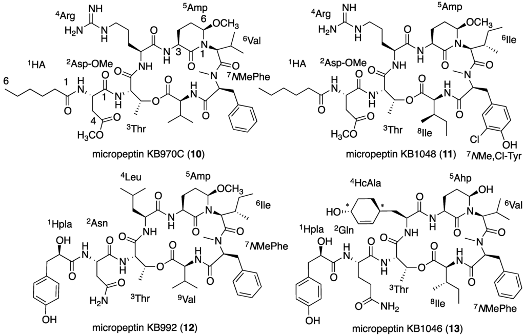 Marinedrugs 13 02347 g008 1024