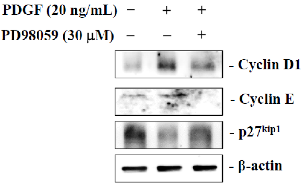 Marinedrugs 13 02390 g006 1024