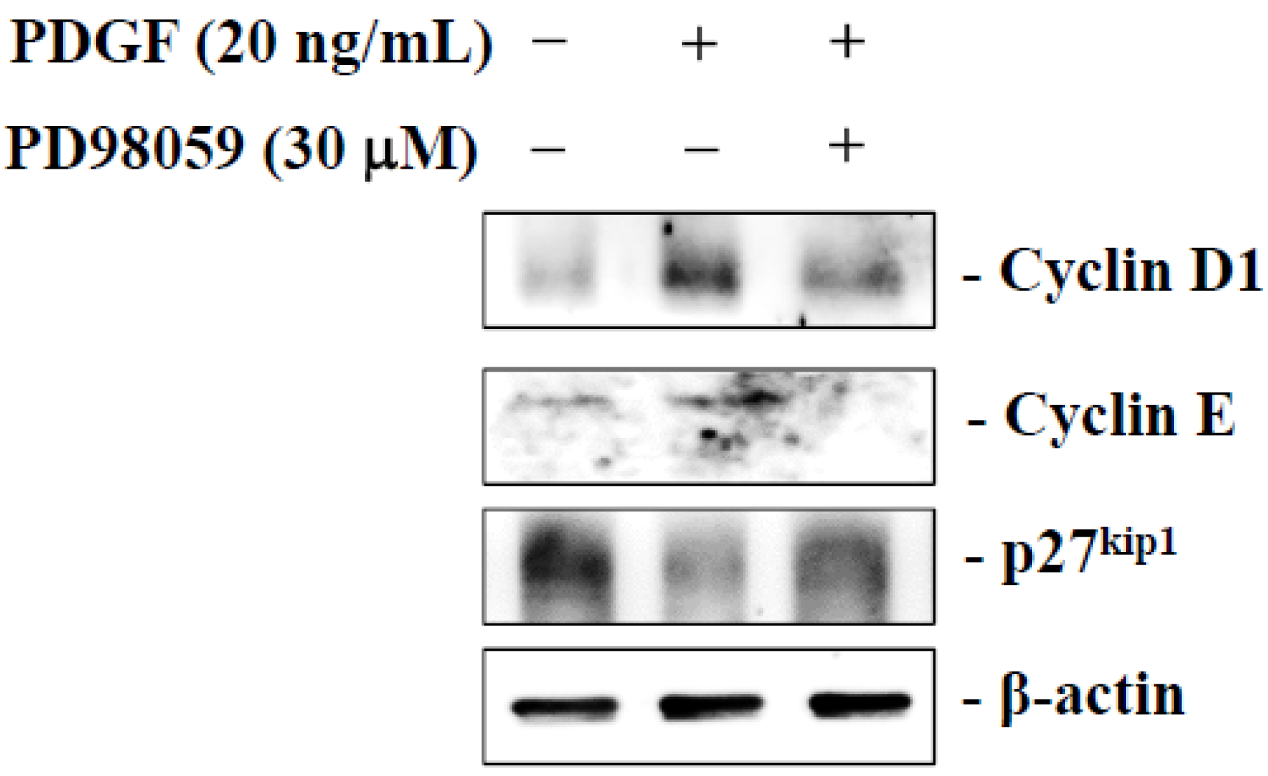 Marinedrugs 13 02390 g006