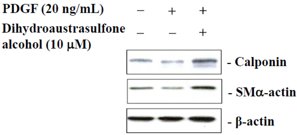 Marinedrugs 13 02390 g007 1024