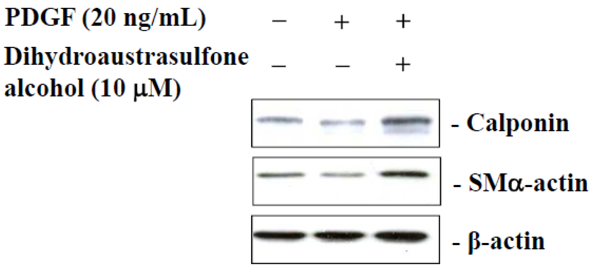 Marinedrugs 13 02390 g007