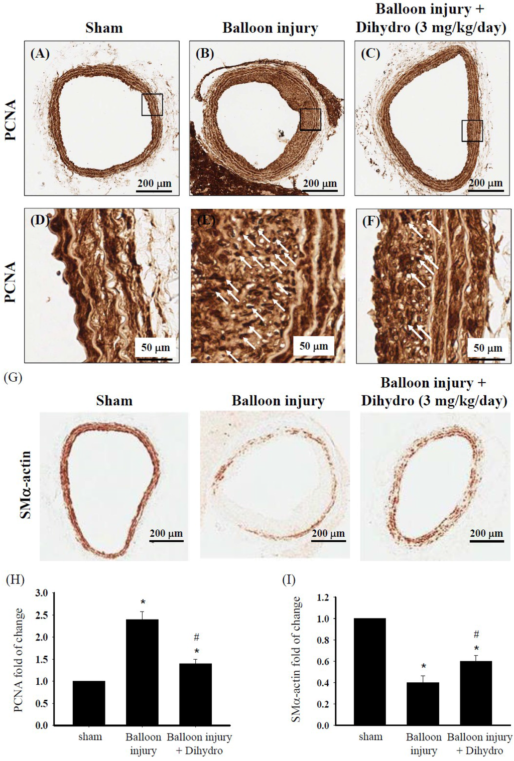 Marinedrugs 13 02390 g008 1024