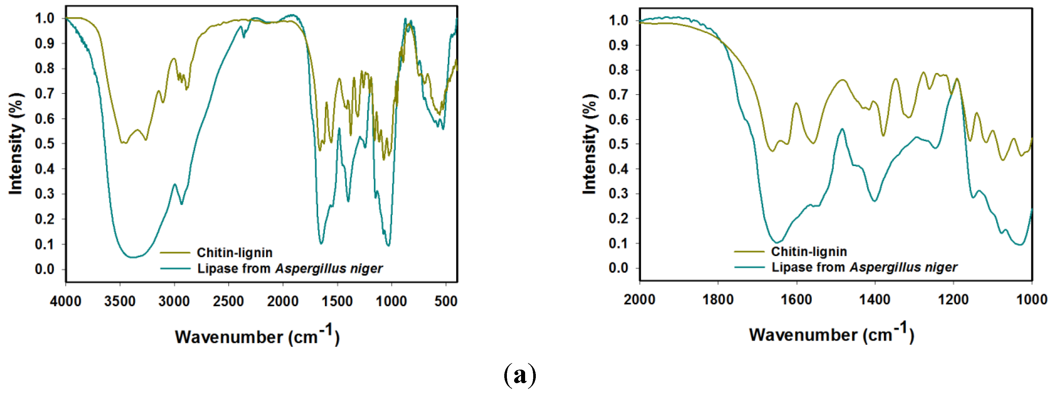 Marinedrugs 13 02424 g001a