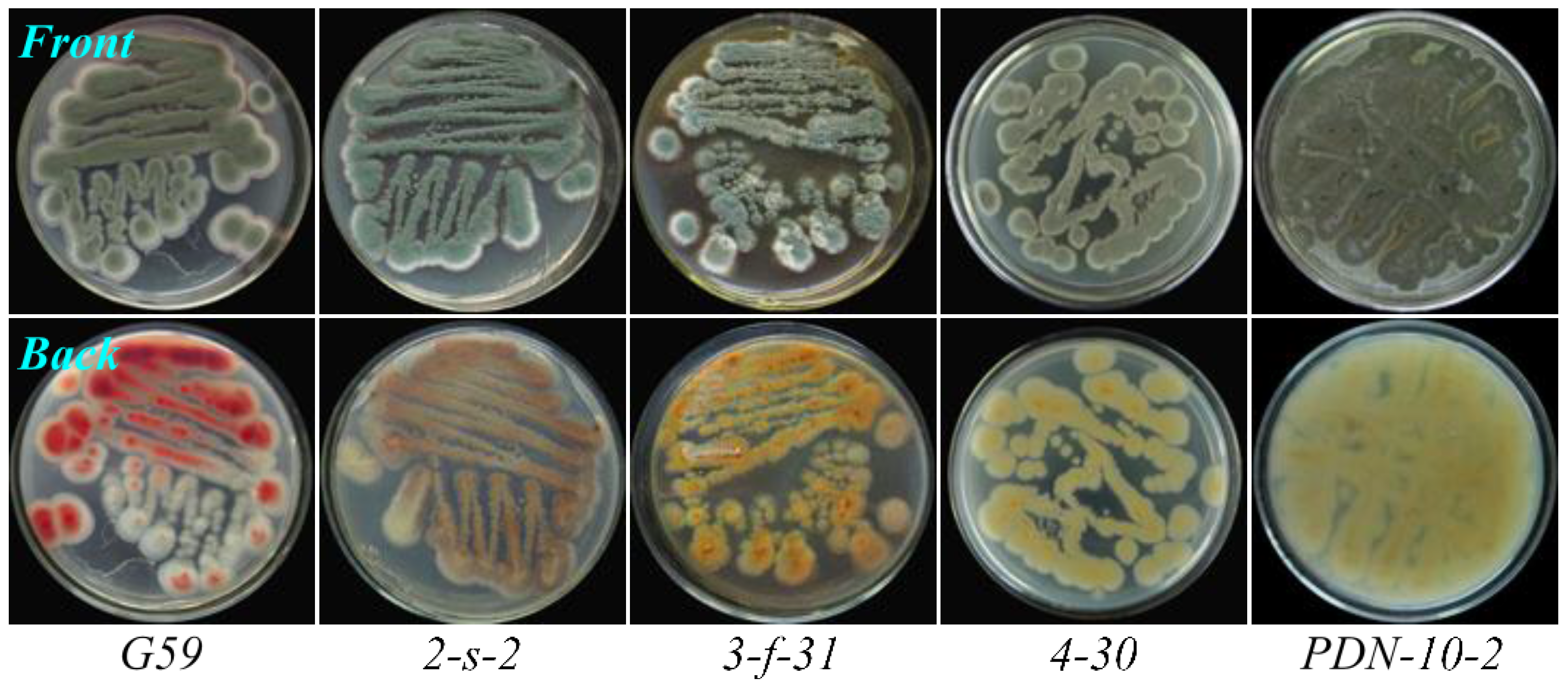 Marinedrugs 13 02465 g003