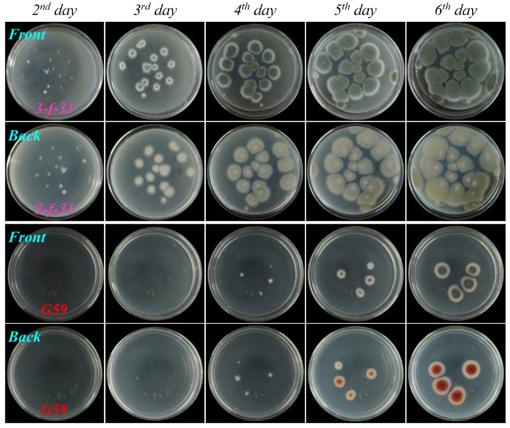 Marinedrugs 13 02465 g004 1024