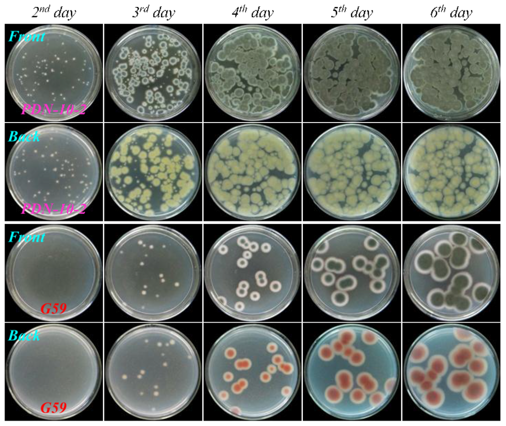 Marinedrugs 13 02465 g006 1024