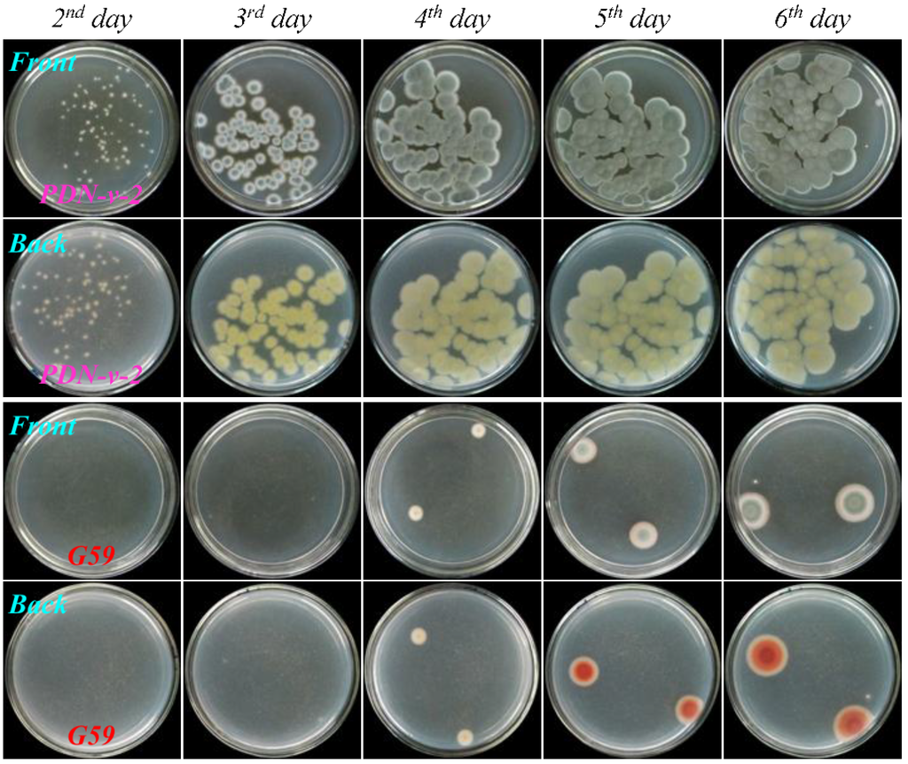 Marinedrugs 13 02465 g007 1024