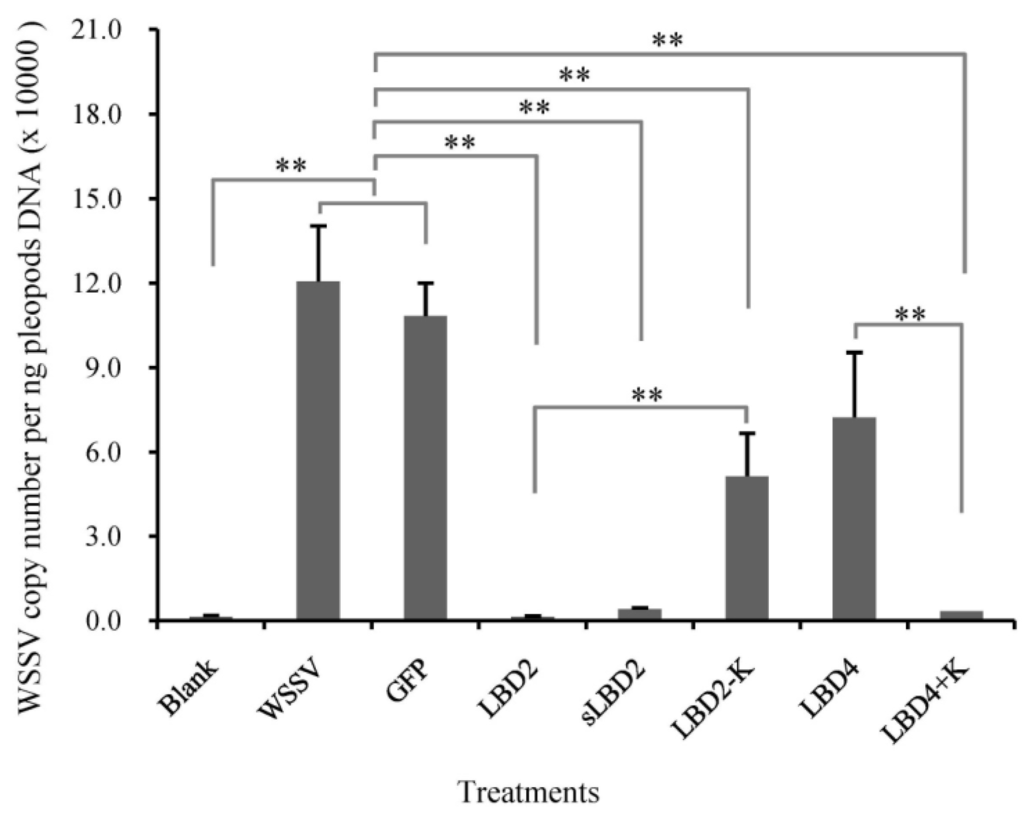 Marinedrugs 13 02602 g005 1024