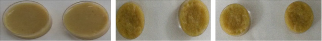 Marinedrugs 13 02680 g001 1024