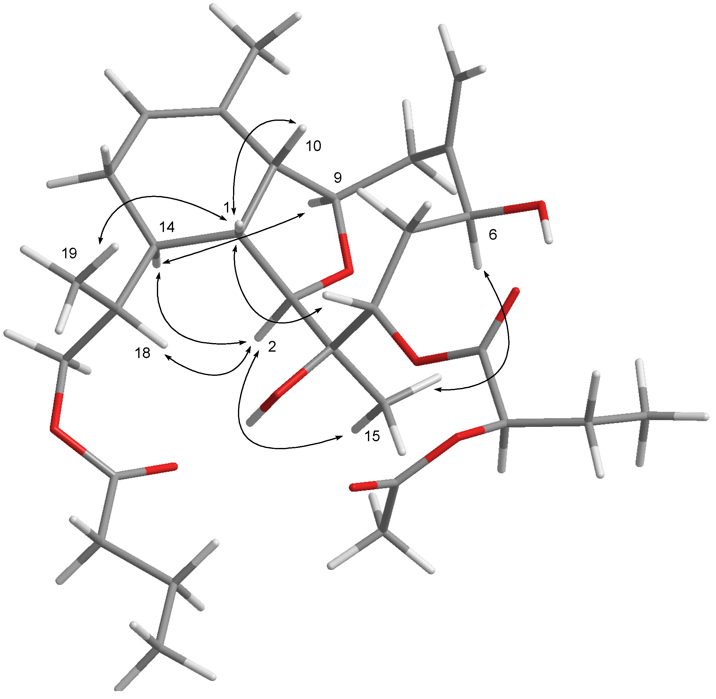 Marinedrugs 13 02757 g002